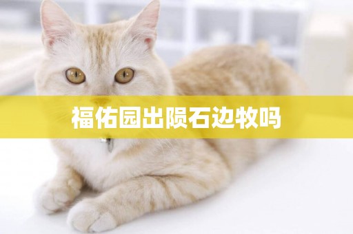 福佑園出隕石邊牧嗎