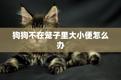 狗狗不在籠子里大小便怎么辦