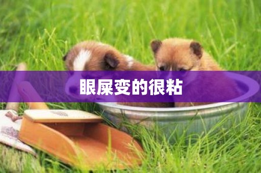眼屎變的很粘
