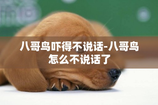 八哥鳥嚇得不說話-八哥鳥怎么不說話了
