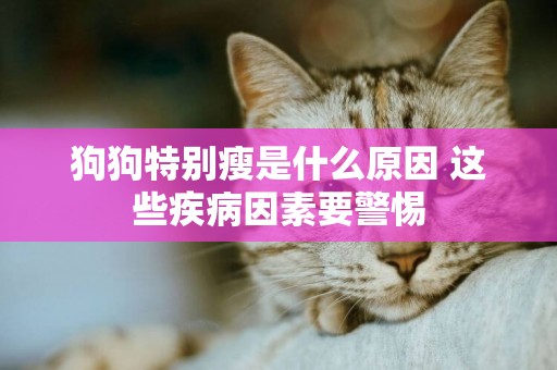 狗狗特別瘦是什么原因 這些疾病因素要警惕