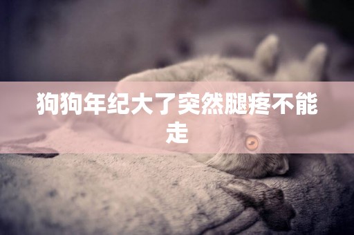 狗狗年紀大了突然腿疼不能走