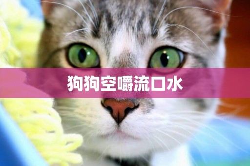 狗狗空嚼流口水