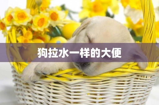 狗拉水一樣的大便