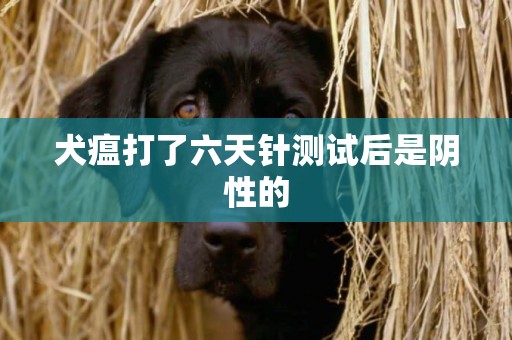 犬瘟打了六天針測試后是陰性的