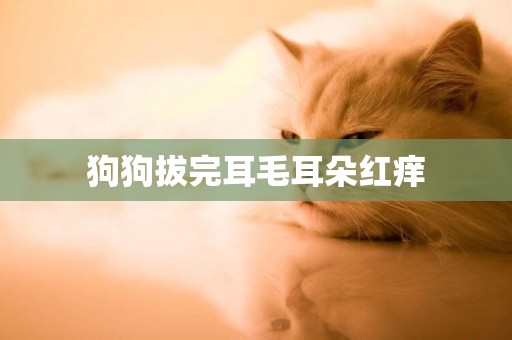 狗狗拔完耳毛耳朵紅癢