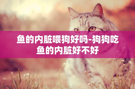 魚的內臟喂狗好嗎-狗狗吃魚的內臟好不好