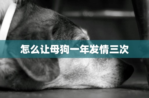 怎么讓母狗一年發情三次