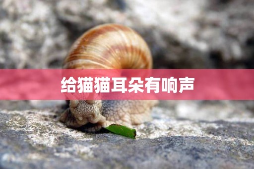 給貓貓耳朵有響聲