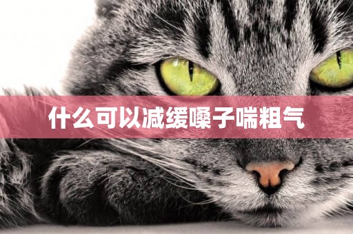 什么可以減緩嗓子喘粗氣