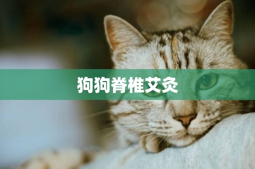 狗狗脊椎艾灸