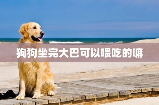 狗狗坐完大巴可以喂吃的嘛