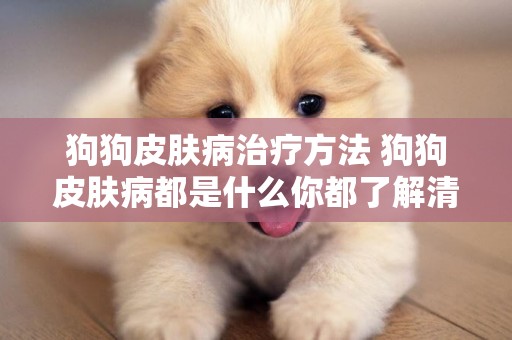 狗狗皮膚病治療方法 狗狗皮膚病都是什么你都了解清楚了嗎