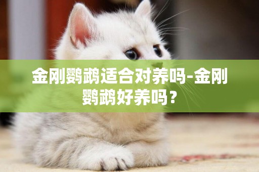 金剛鸚鵡適合對養嗎-金剛鸚鵡好養嗎？