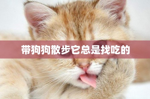 帶狗狗散步它總是找吃的