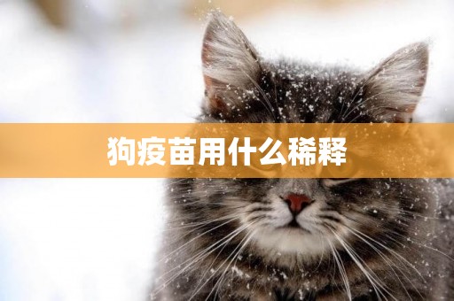 狗疫苗用什么稀釋
