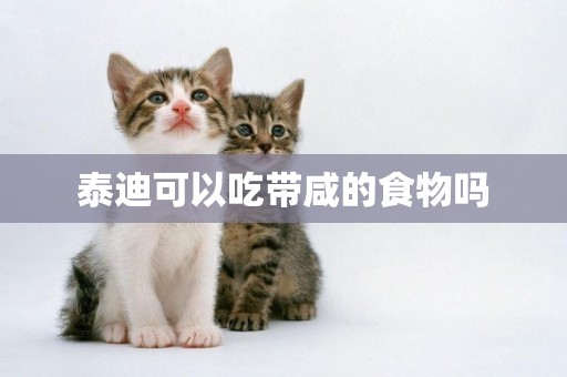 泰迪可以吃帶咸的食物嗎
