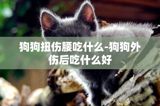 狗狗扭傷腰吃什么-狗狗外傷后吃什么好