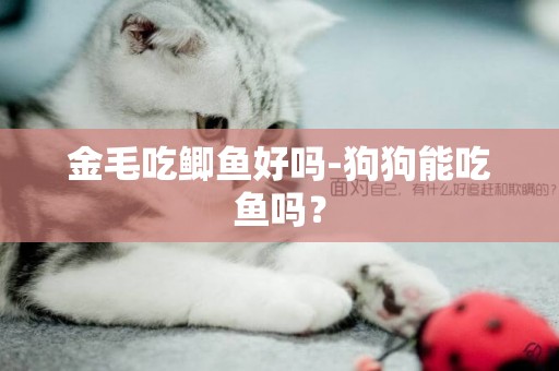 金毛吃鯽魚好嗎-狗狗能吃魚嗎？