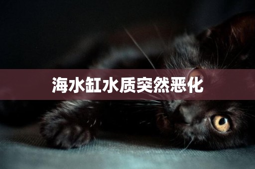 海水缸水質突然惡化