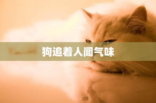 狗追著人聞氣味