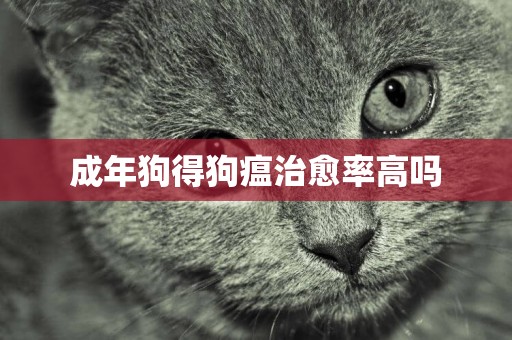 成年狗得狗瘟治愈率高嗎