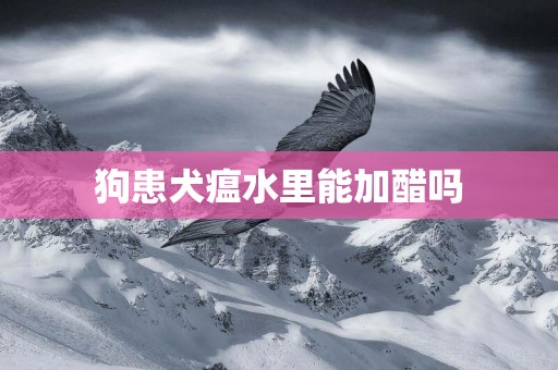 狗患犬瘟水里能加醋嗎