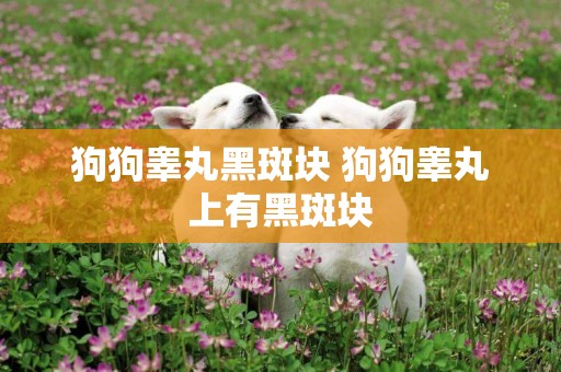 狗狗睪丸黑斑塊 狗狗睪丸上有黑斑塊