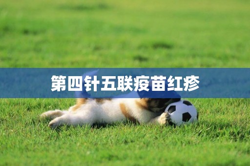 第四針五聯疫苗紅疹