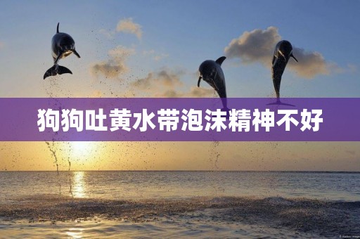 狗狗吐黃水帶泡沫精神不好