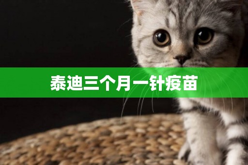 泰迪三個月一針疫苗
