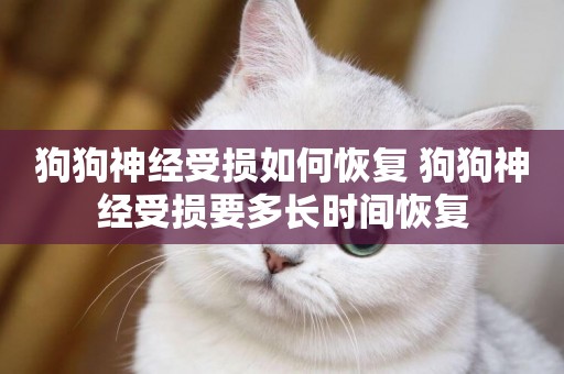 狗狗神經受損如何恢復 狗狗神經受損要多長時間恢復