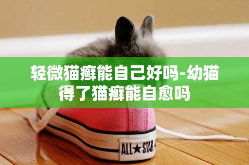輕微貓癬能自己好嗎-幼貓得了貓癬能自愈嗎