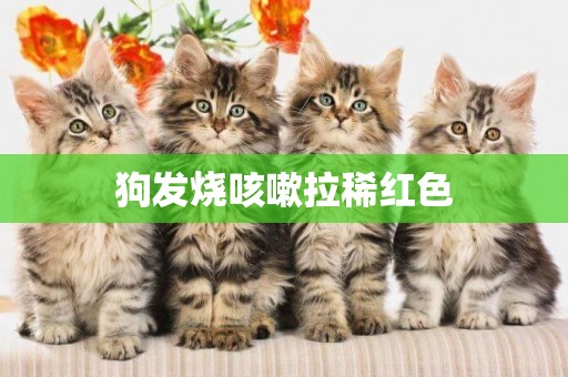 狗發燒咳嗽拉稀紅色