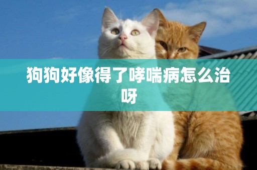 狗狗好像得了哮喘病怎么治呀