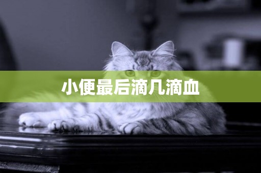 小便最后滴幾滴血