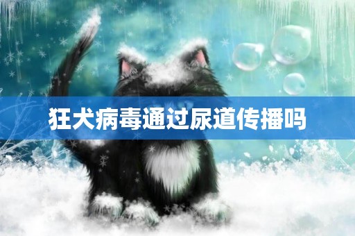 狂犬病毒通過尿道傳播嗎