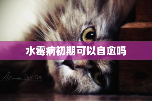 水霉病初期可以自愈嗎