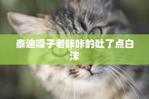 泰迪嗓子老咔咔的吐了點白沫