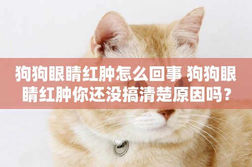 狗狗眼睛紅腫怎么回事 狗狗眼睛紅腫你還沒搞清楚原因嗎？