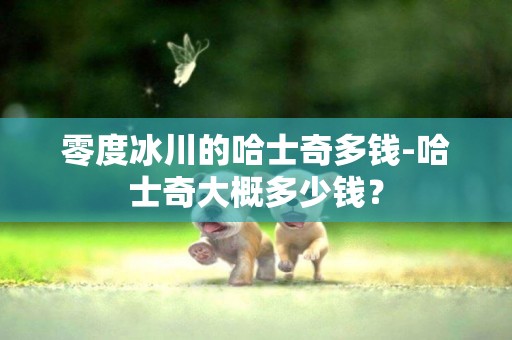 零度冰川的哈士奇多錢-哈士奇大概多少錢？