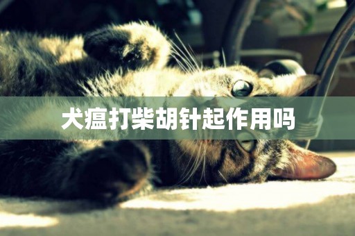 犬瘟打柴胡針起作用嗎