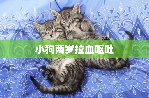 小狗兩歲拉血嘔吐
