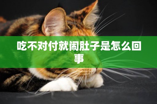 吃不對付就鬧肚子是怎么回事
