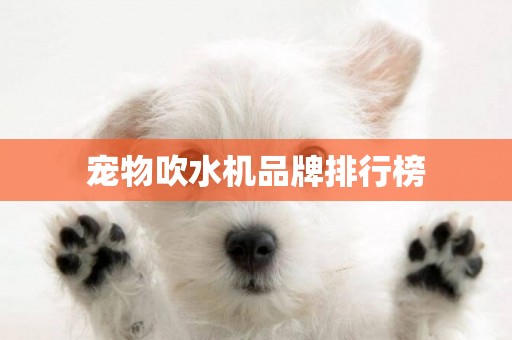 寵物吹水機品牌排行榜