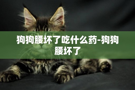 狗狗腰壞了吃什么藥-狗狗腰壞了