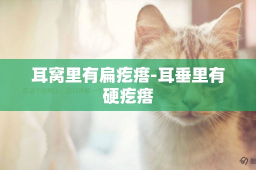 耳窩里有扁疙瘩-耳垂里有硬疙瘩