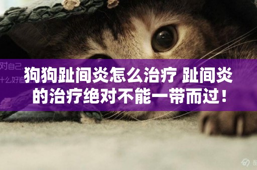 狗狗趾間炎怎么治療 趾間炎的治療絕對不能一帶而過！