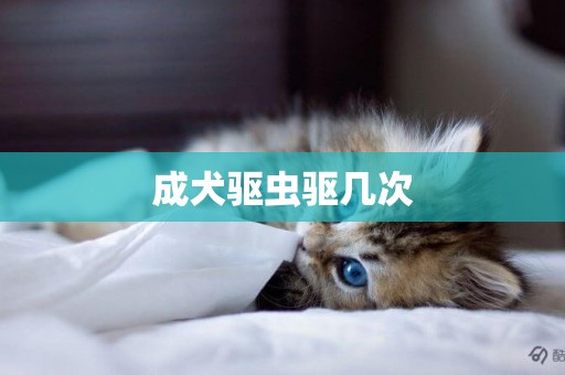 成犬驅蟲驅幾次