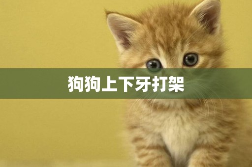 狗狗上下牙打架